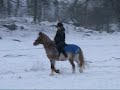 Mio, min �lskade ponny 2008