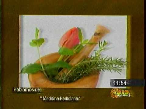 herbolaria - Tradicion Indigena Maya hacia el 2012. El proyecto Vuela Papalote intenta rescatar la herencia cultural del pueblo indigena maya en un momento crucial de su ...