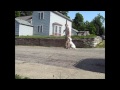 dog Training - Dogo obedience Training