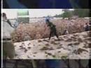 green day woodstock94
