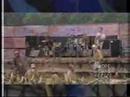 green day woodstock94