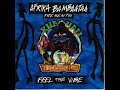 Afrika Bambaataa - Feel The Vibe Remix