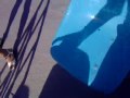 3 parte de la final del video de acapulco