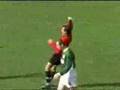 very-funny-referee 