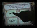Blue Sky Cellar, Trivia Game