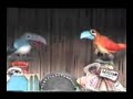 tiki-room-under-new-management.html