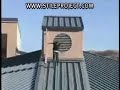 4 idiots Video