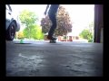 videos de Recovered Sesh!