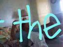 YUCK! my house; 7th GRADE.