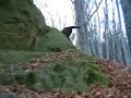 ?erti na provodov?