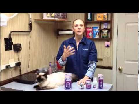 Cat Calming Spray