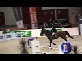Looping d'Elle