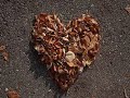 fatto da me...cn varie foto...qst video � dedicato...chiss� se lo vedr� un giorno...