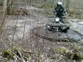 O Poliariai irgi klimpsta