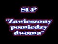 SLP - Zawieszony pomiedzy dwoma SLP - Zawieszony pomiedzy dwoma