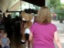 créu no cavalinho! créu no cavalinho!