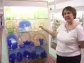 All That Jazz presents antique roadshow