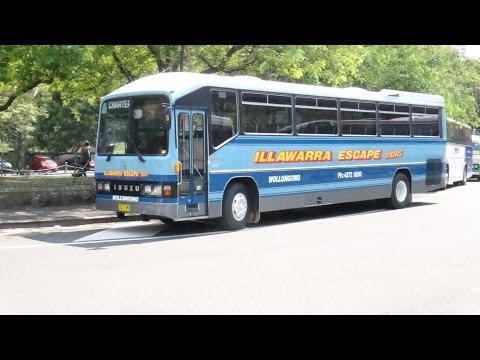 Illawarra Escape Tours 3277MO – ISUZU LT1-11P (Manual/Custom Coaches) – Rail Replacement