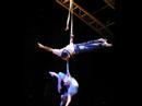 Worlds Best Aerial Acts (2)