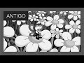 Doce Turminha e o bom samaritano
