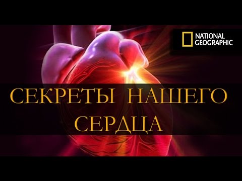 Секреты нашего сердца. National Geographic