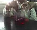 neutralizacion fq
