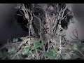 Daedelus - Just Briefly