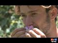 Promoting Perfume, Not Poppies, in Afghanistan Promoting Perfume, Not Poppies, in Afghanistan
