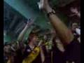 THE TIGER ARMY (Tigers Vs Lions)