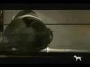 Face Down - The Red Jumpsuit Appartaus