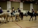 Donkey Basketball