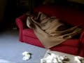 denglbert fickt die couch WAS IS DA LOS