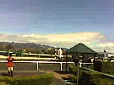 racing results cheltenham