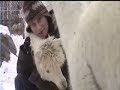 Alpaca Hug Alpaca Hug