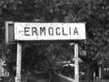 Ermoclia by Colea!
