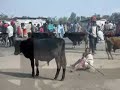 Tanzania Tanzania