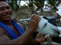 Mike Oldfield & Anuta Tribe - Song for Survival