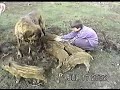 An�bal Presa, Maeva Dogo and boar cubs