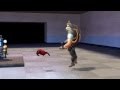 Pets