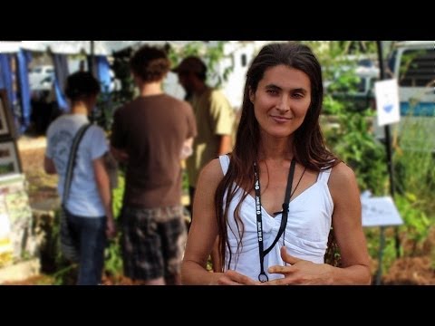 Why make food parks in urban spaces?