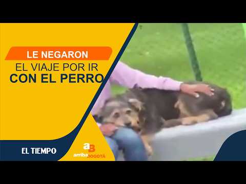 ¡No lo abandonó! A adulto mayor le negaron subir a un bus por ir con su ...