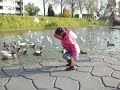 eendjes voeren