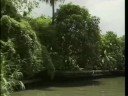 Thailand Travel Doc - Part 03
