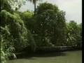 Thailand Travel Doc - Part 03