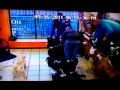 Dog in barber shop camara1