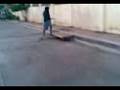 videos de bobie - sk8 sa tpat ng commhgh.