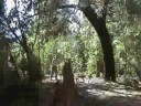 2008 Tour to Monarch Biosphere Reserve
