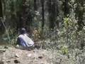 2008 Tour to Monarch Biosphere Reserve