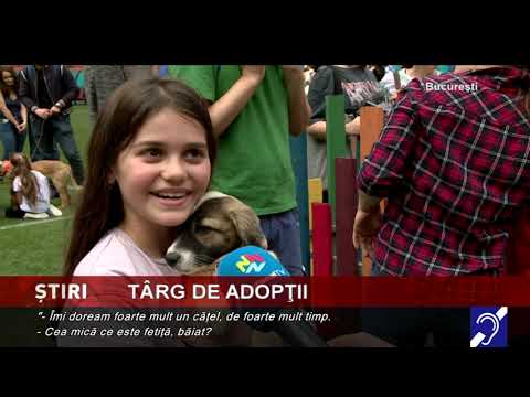 Târg de adopții, la Arena Națională