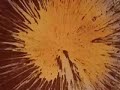 Proton Kid- Vengeance means revenge
